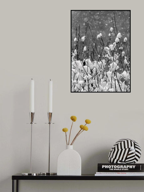 Happy New Year Poster och Canvastavla