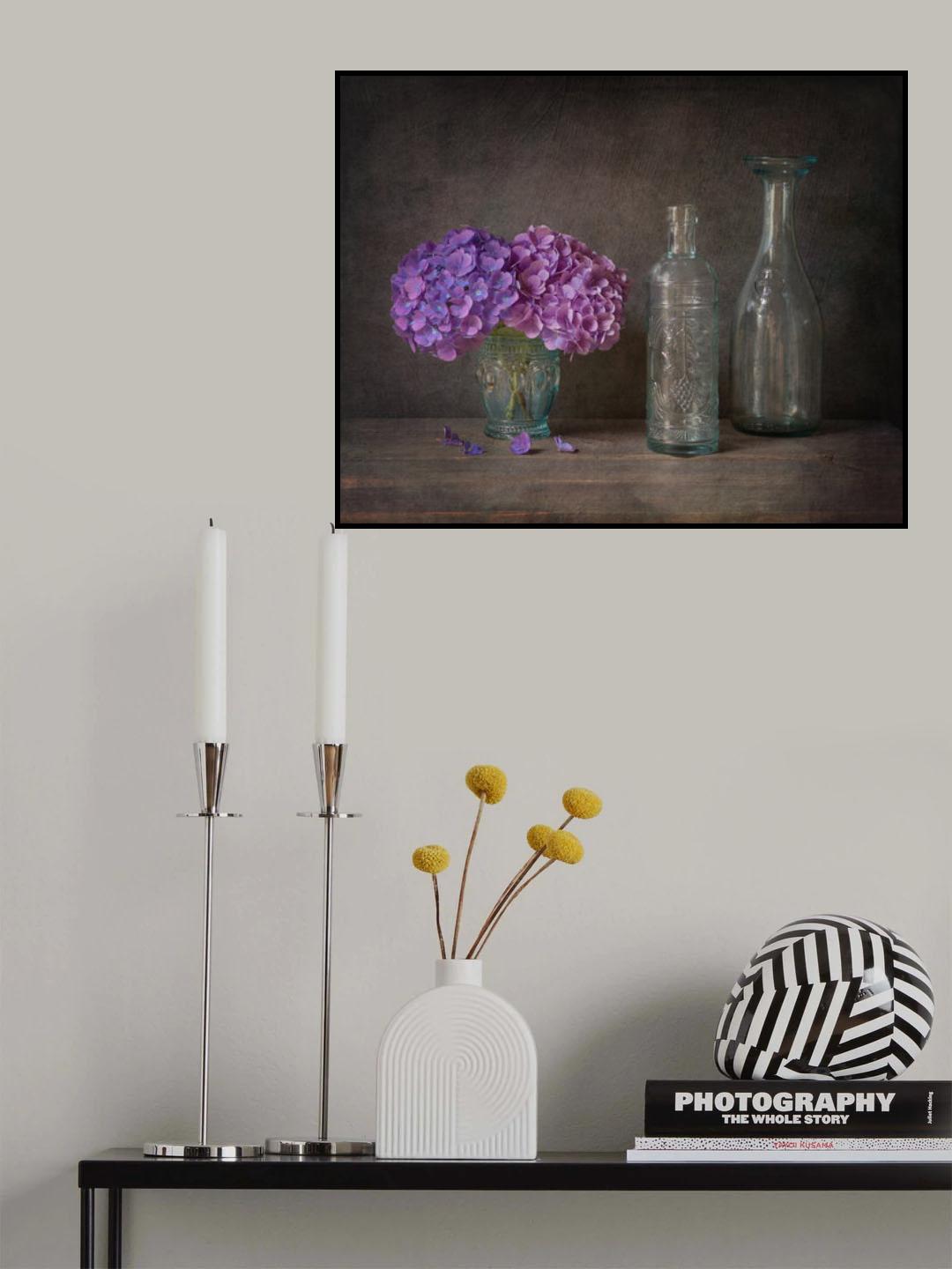 Hydrangea Poster och Canvastavla