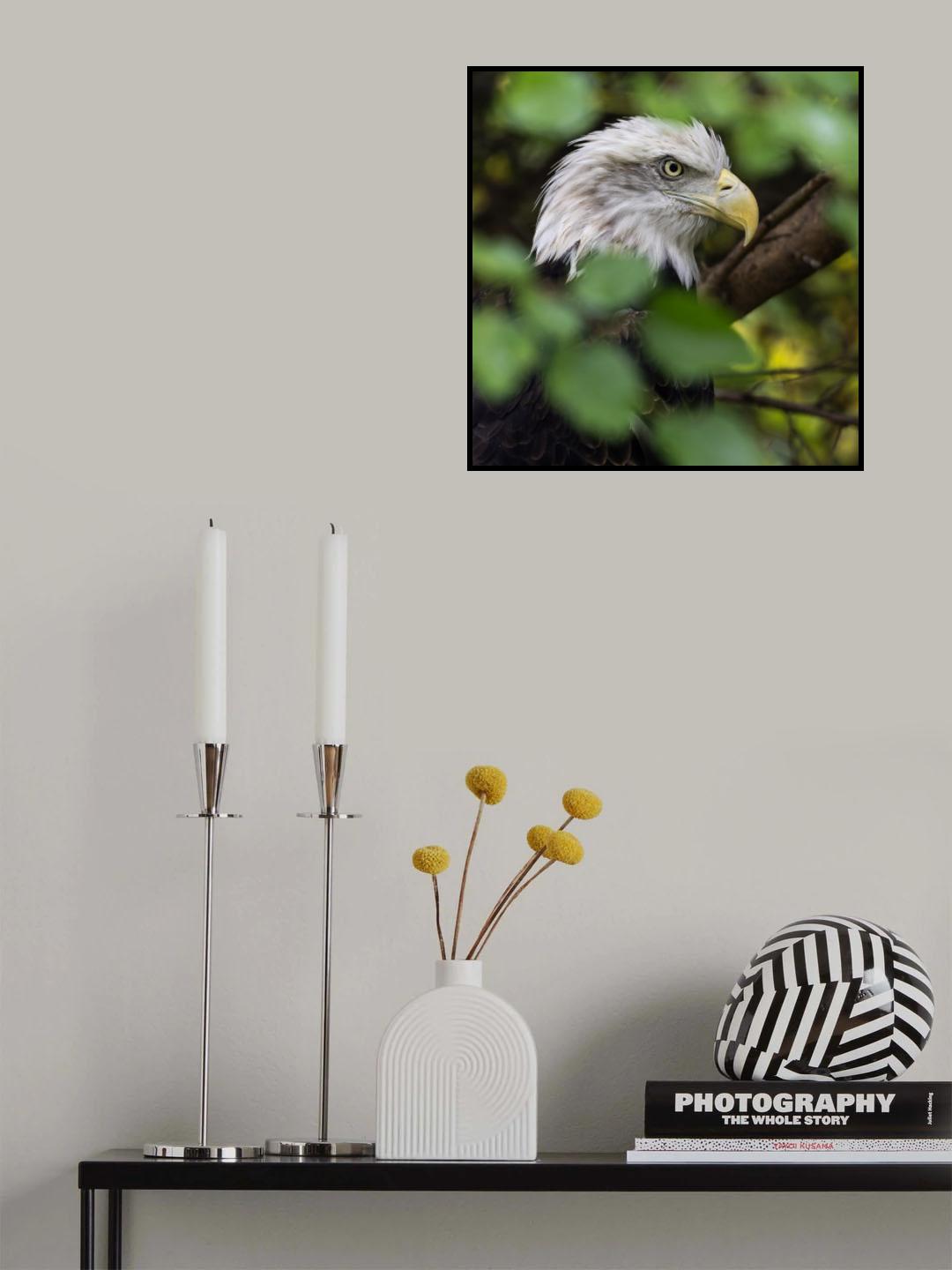 Power and Elegance Poster och Canvastavla