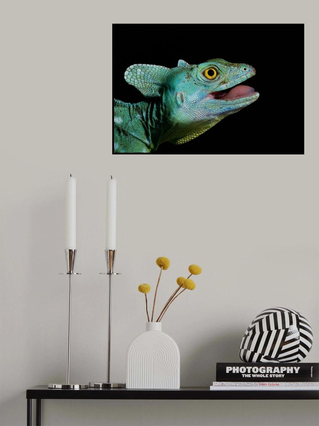 Basiliscus plumifrons - Plumed Basilisk Poster och Canvastavla