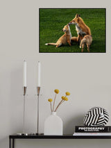 Mother's kiss, sweet kiss. Poster och Canvastavla