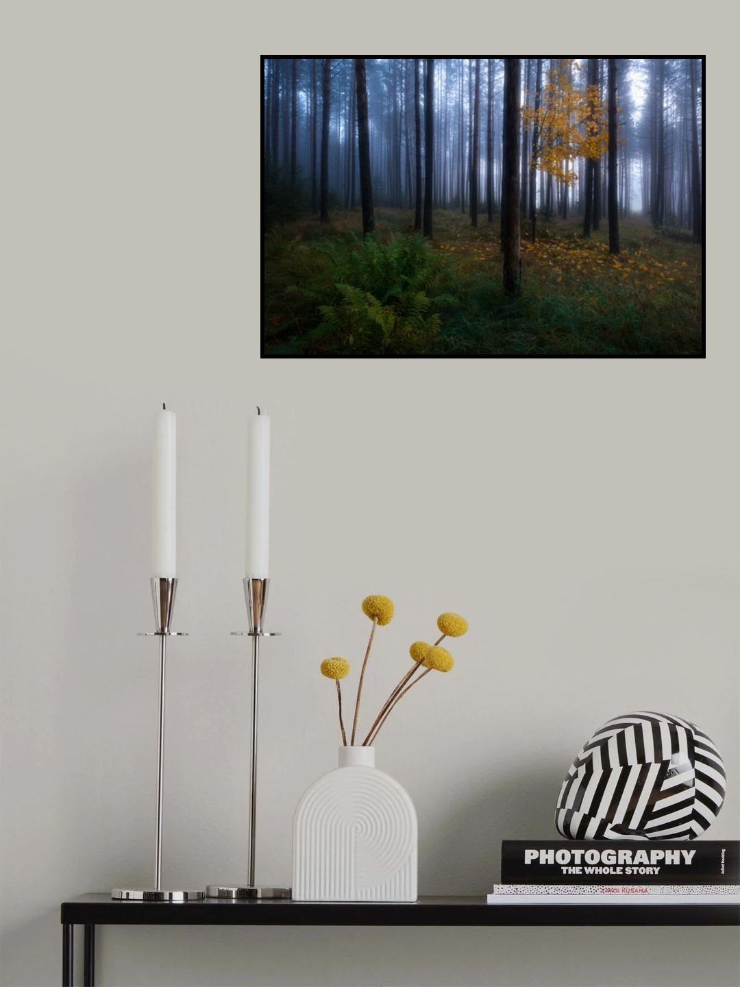 The dark light Poster och Canvastavla