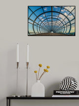 Spider Poster och Canvastavla