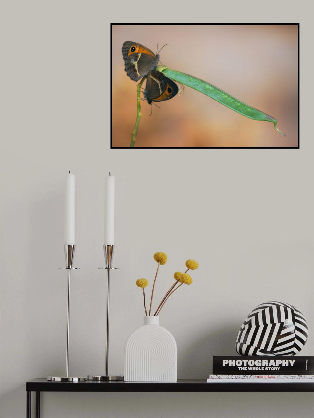 Spanish Gatekeeper Poster och Canvastavla