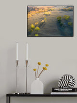 Grazing gheep Poster och Canvastavla
