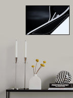 Theatre curves Poster och Canvastavla