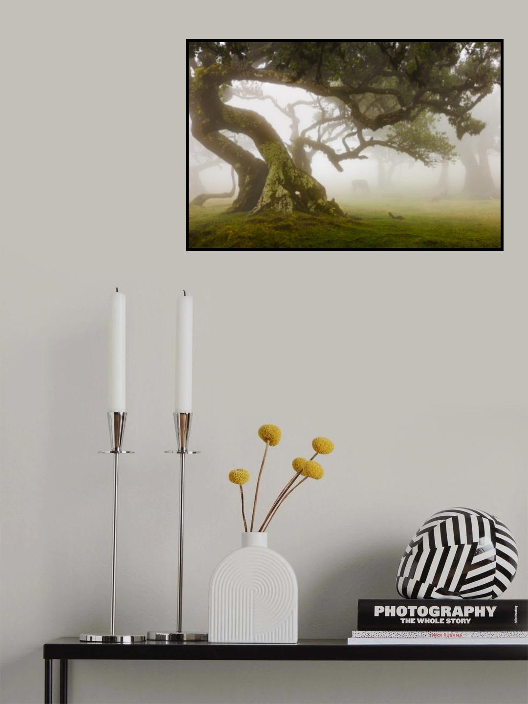 Mysterious Forest with a cow Poster och Canvastavla