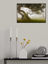 Mysterious Forest with a cow Poster och Canvastavla