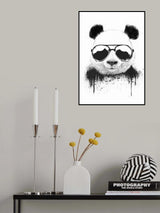 Stay Cool Poster och Canvastavla