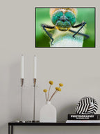 Morning pearls 3 Poster och Canvastavla