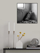 Poster och Canvastavla