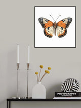 Butterfly 13 Poster och Canvastavla
