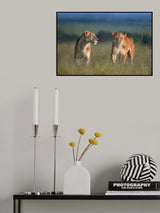 Sisters for ever Poster och Canvastavla