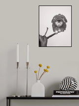Unusual pose Poster och Canvastavla