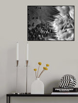 Low Winter Sun Shadows Poster och Canvastavla