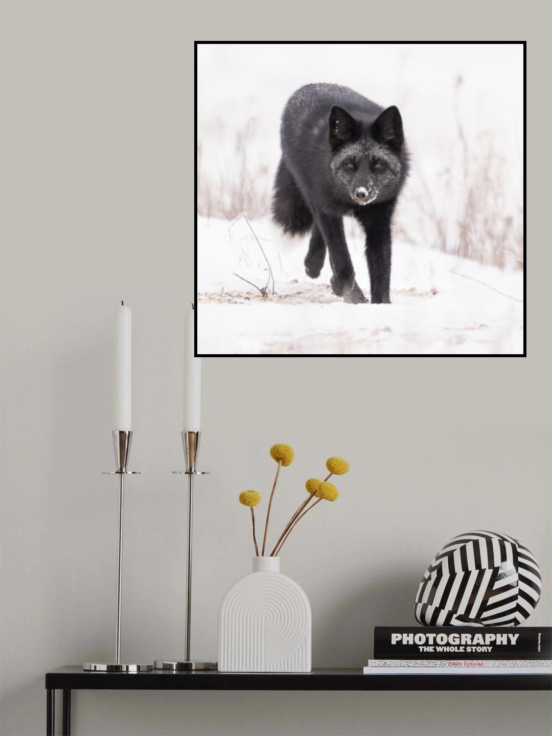 Poster och Canvastavla