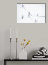 Unbounded Poster och Canvastavla