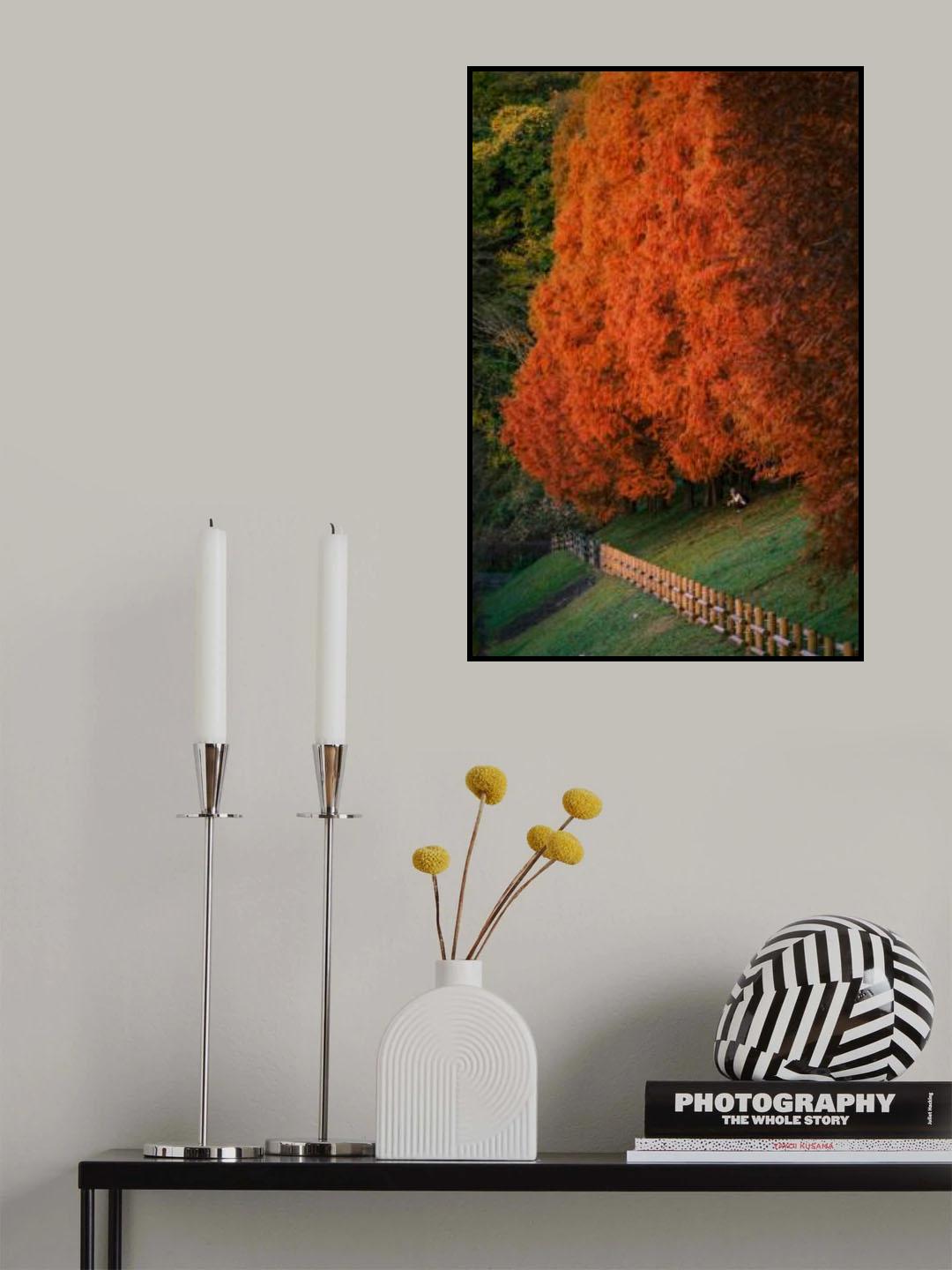 Under Metasequoia Poster och Canvastavla