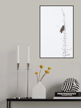 The Grey Hunter on White Poster och Canvastavla