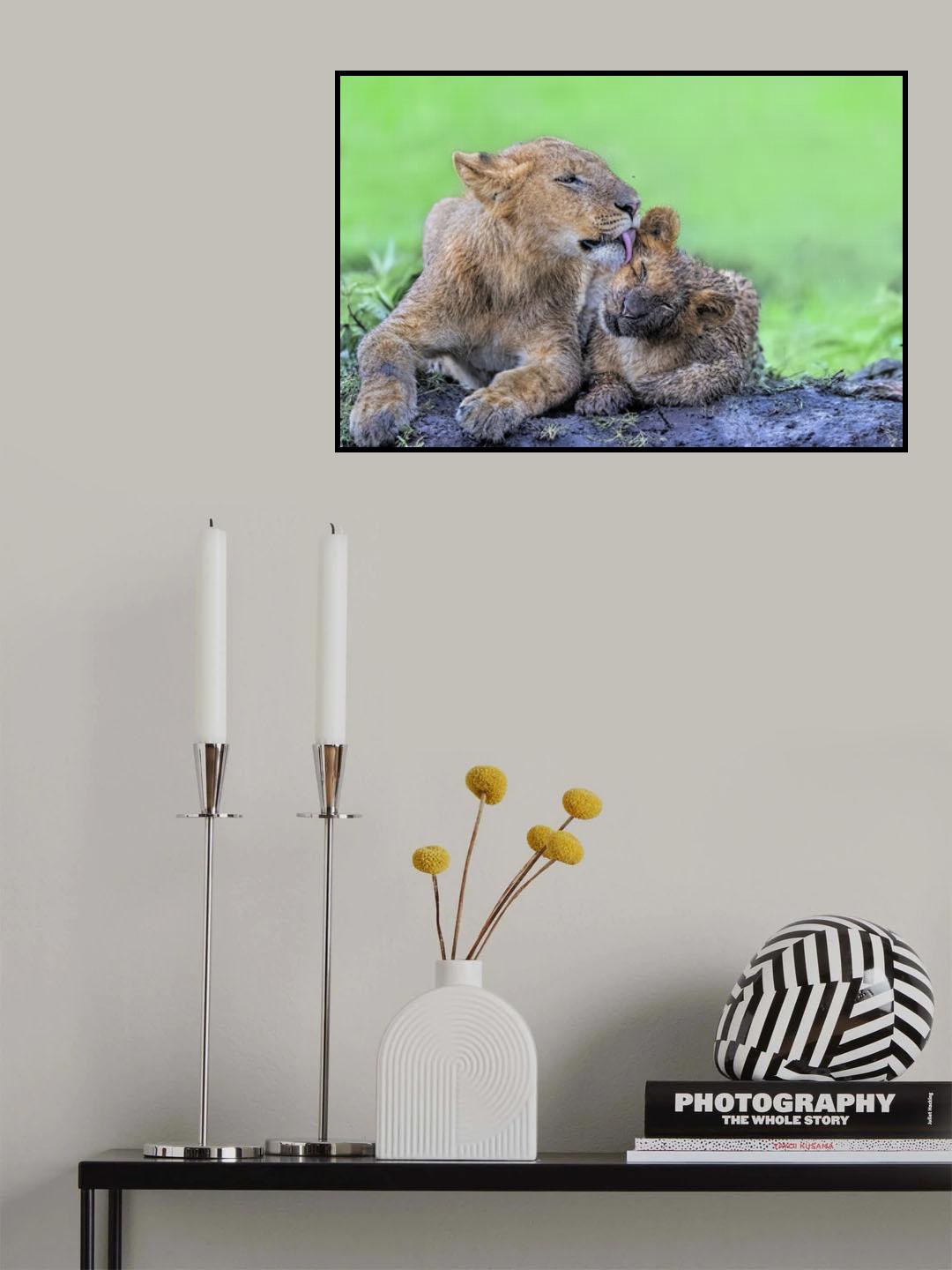 After The rain Poster och Canvastavla