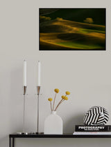 Sunset Wheat Field Poster och Canvastavla