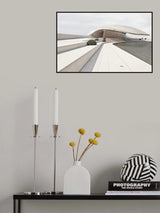 The Flounder Poster och Canvastavla