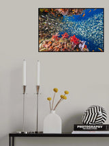 Reef life Poster och Canvastavla