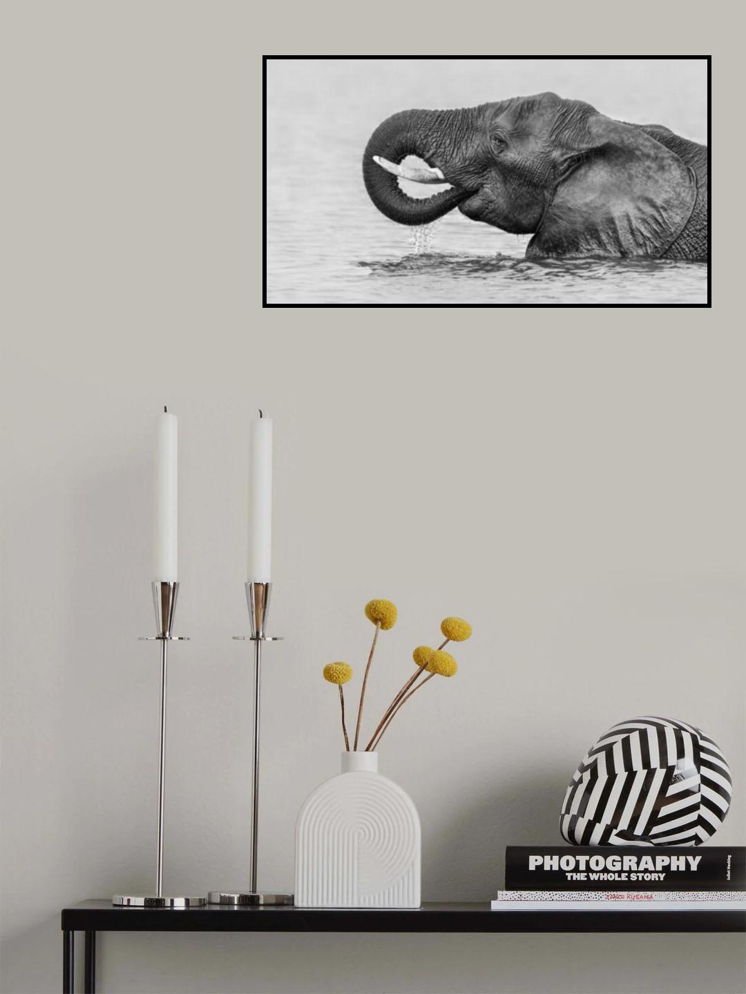 Crossing The River Poster och Canvastavla