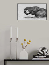 Crossing The River Poster och Canvastavla
