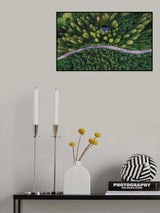 Hidden lake Poster och Canvastavla