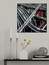 Intercepted Poster och Canvastavla
