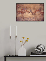 Two by two Poster och Canvastavla