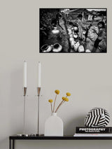 Poster och Canvastavla