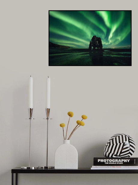 Rhino Poster och Canvastavla