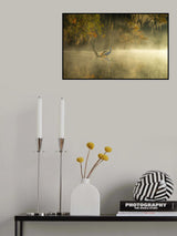 Egret Poster och Canvastavla