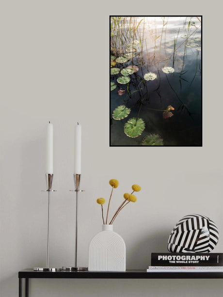 Okovongo Sunset Poster och Canvastavla