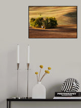 field chapel Poster och Canvastavla