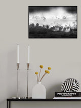 Herd Poster och Canvastavla