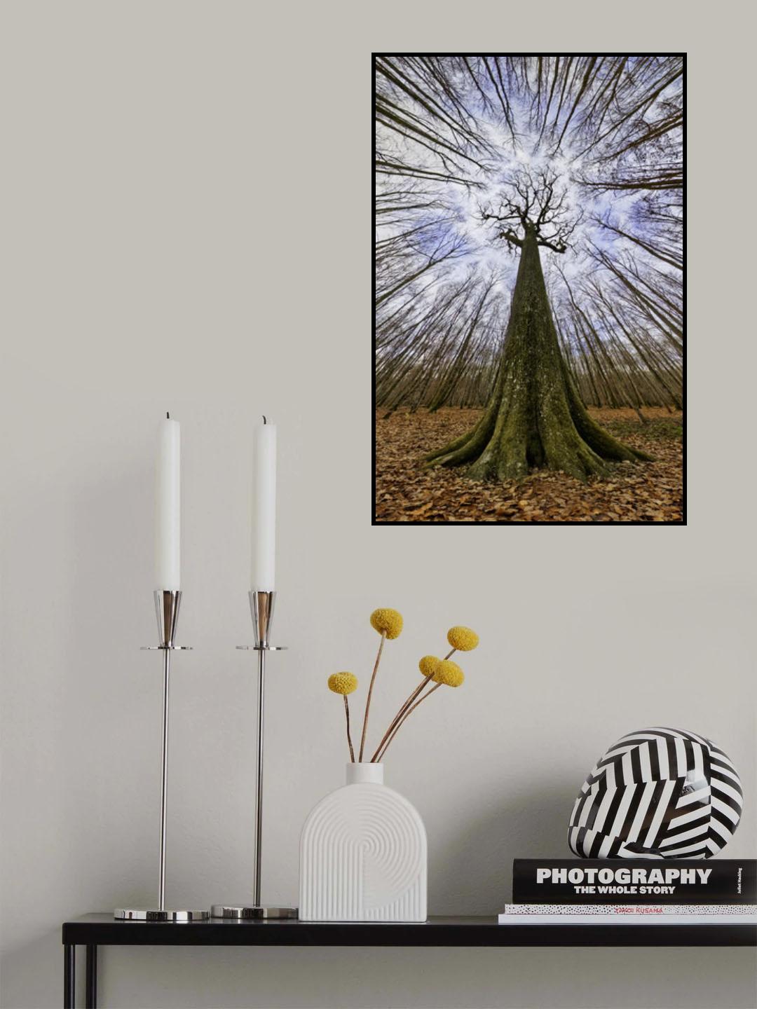 Four centuries tall Poster och Canvastavla
