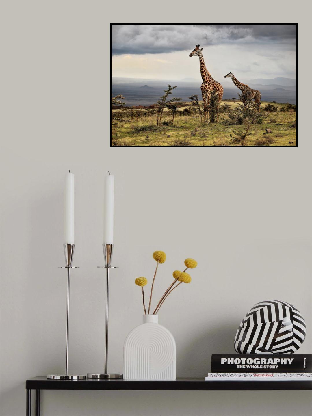Giraffe Poster och Canvastavla
