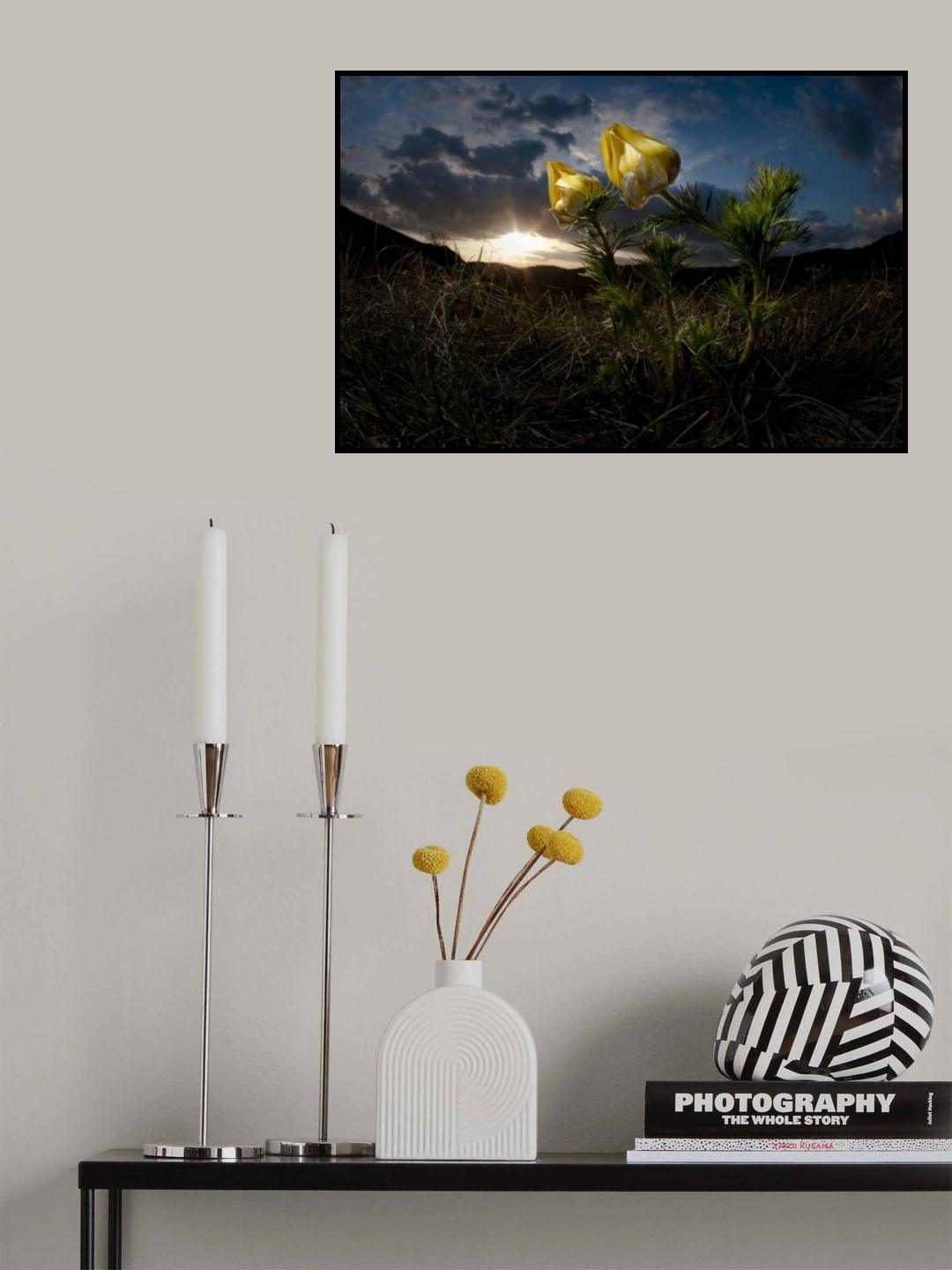 Afternoon Poster och Canvastavla