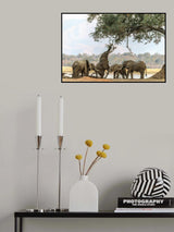 The different Poster och Canvastavla