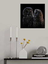 Two Owls Poster och Canvastavla