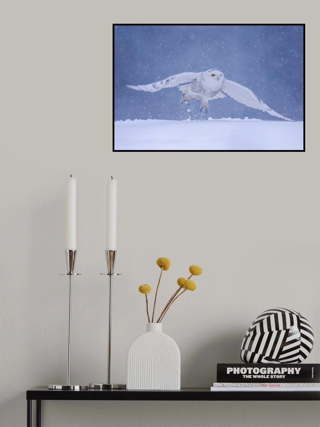 Flying in the snow Poster och Canvastavla