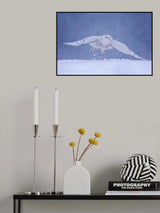 Flying in the snow Poster och Canvastavla