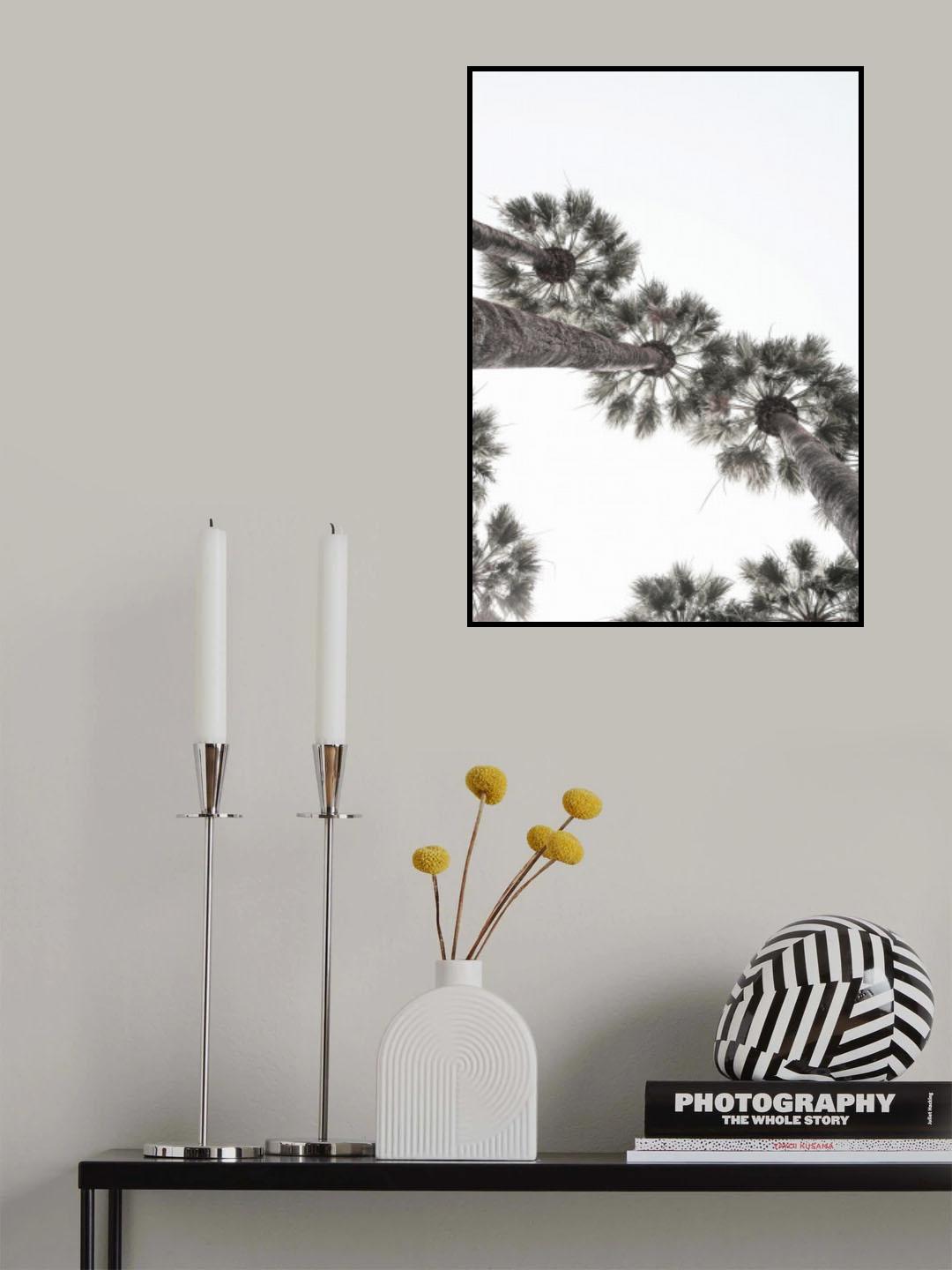 Bodrum Plams Poster och Canvastavla