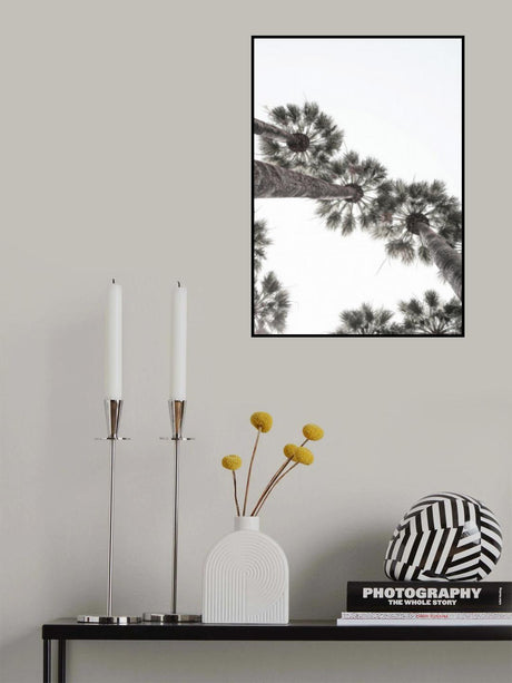 Bodrum Plams Poster och Canvastavla