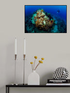 Reef Poster och Canvastavla
