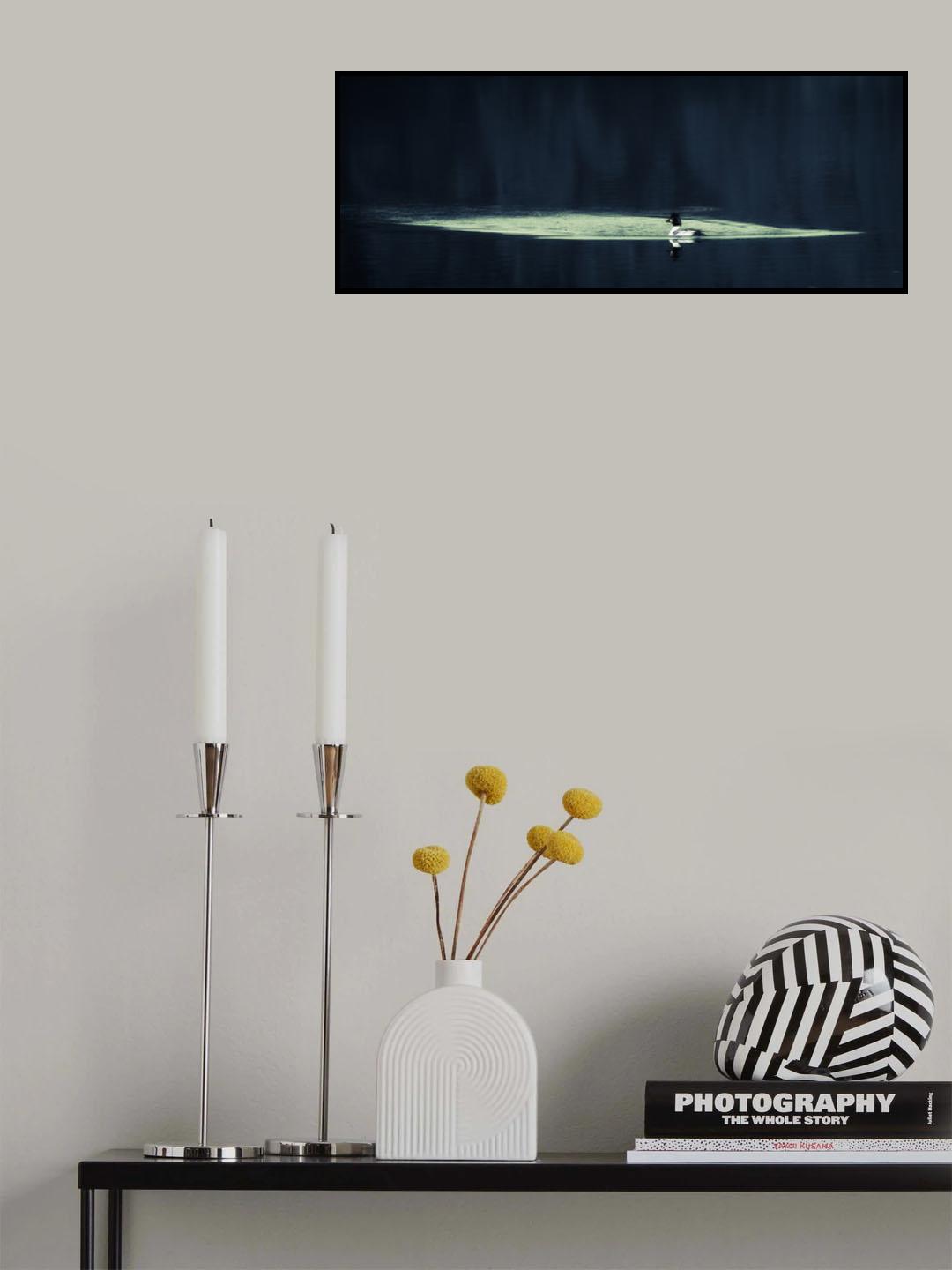 Common goldeneye Poster och Canvastavla