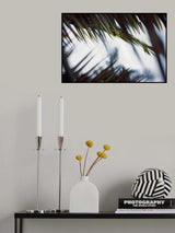 Palm Branches Poster och Canvastavla